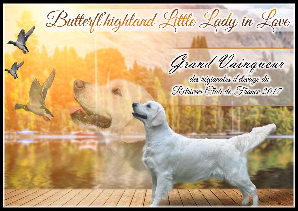 Butterfl 'highland Little lady in love